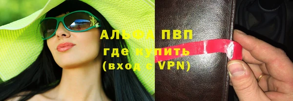 индика Белокуриха