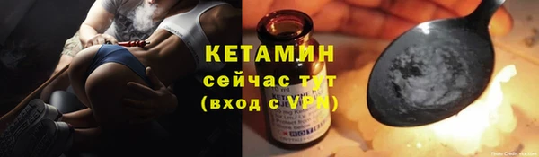 индика Белокуриха