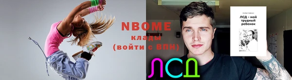 индика Белокуриха