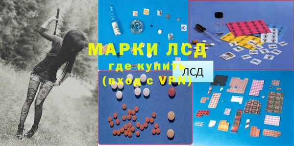 индика Белокуриха