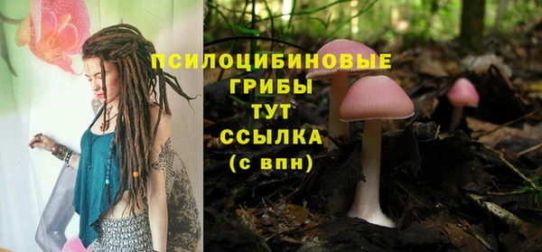 индика Белокуриха
