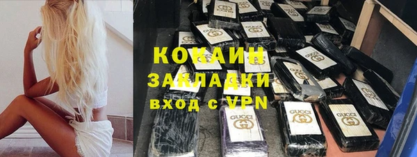 индика Белокуриха