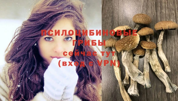индика Белокуриха