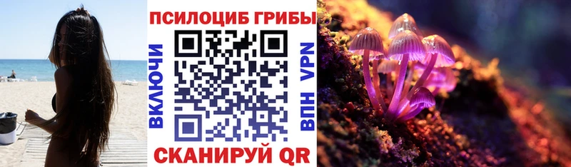 Псилоцибиновые грибы Psilocybine cubensis  Городовиковск 